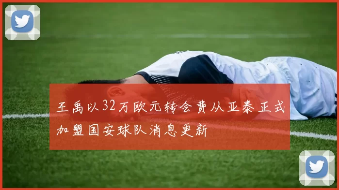 王禹以32万欧元转会费从亚泰正式加盟国安球队消息更新