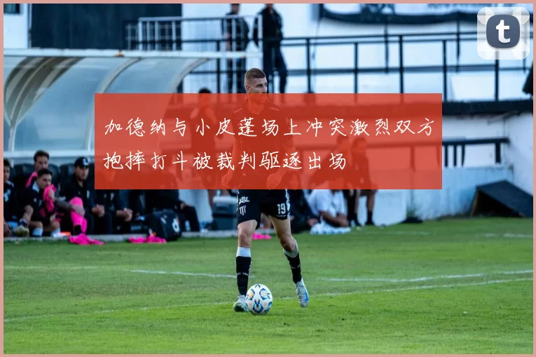 加德纳与小皮蓬场上冲突激烈双方抱摔打斗被裁判驱逐出场
