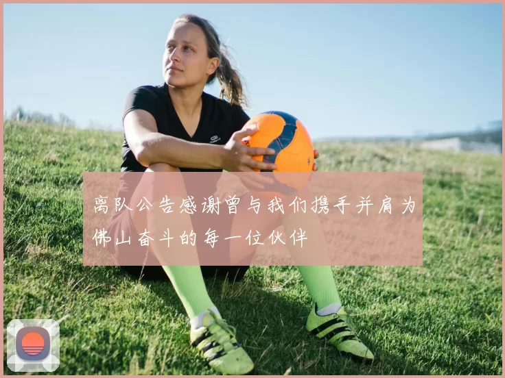 离队公告感谢曾与我们携手并肩为佛山奋斗的每一位伙伴