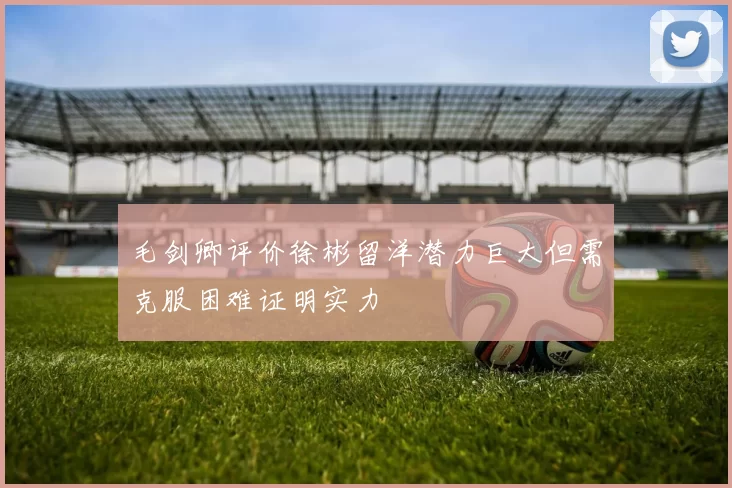毛剑卿评价徐彬留洋潜力巨大但需克服困难证明实力
